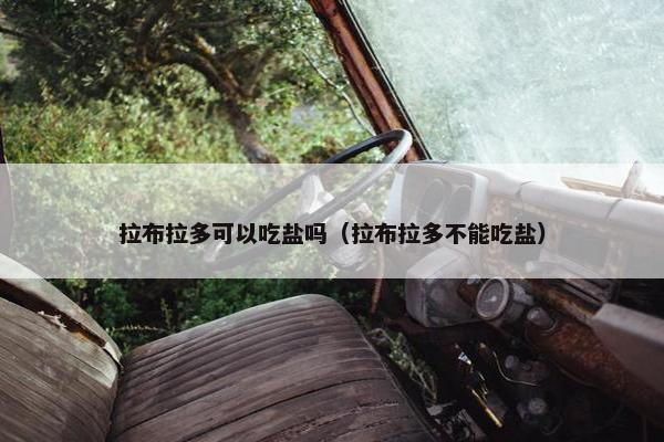 拉布拉多可以吃盐吗（拉布拉多不能吃盐）
