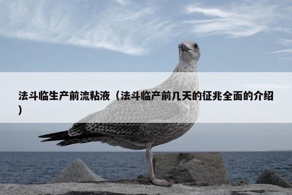 法斗临生产前流粘液（法斗临产前几天的征兆全面的介绍）