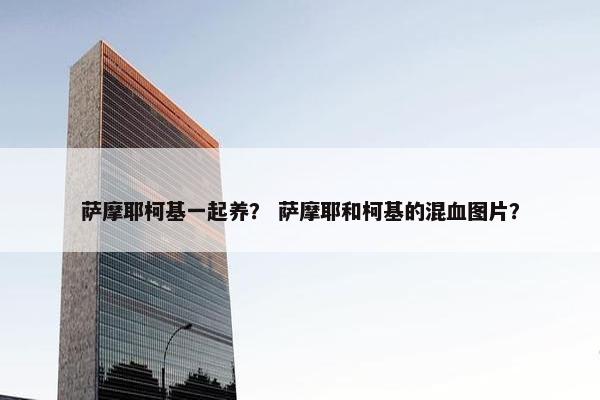 萨摩耶柯基一起养？ 萨摩耶和柯基的混血图片？