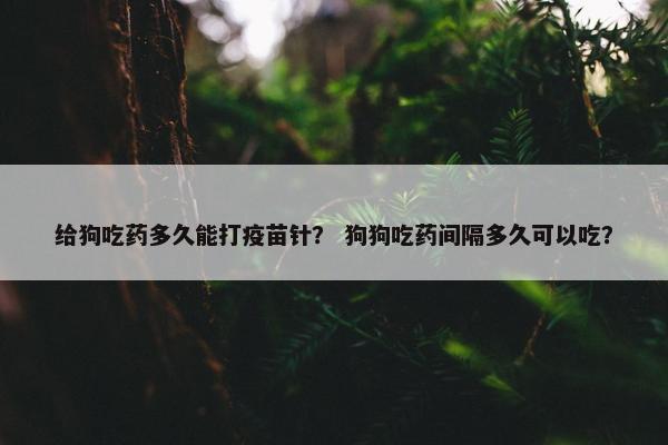 给狗吃药多久能打疫苗针？ 狗狗吃药间隔多久可以吃？
