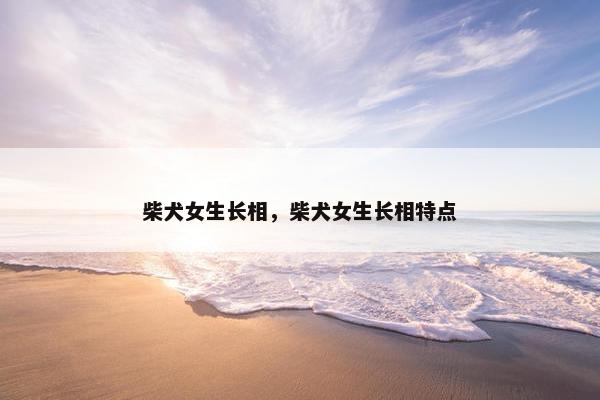 柴犬女生长相，柴犬女生长相特点