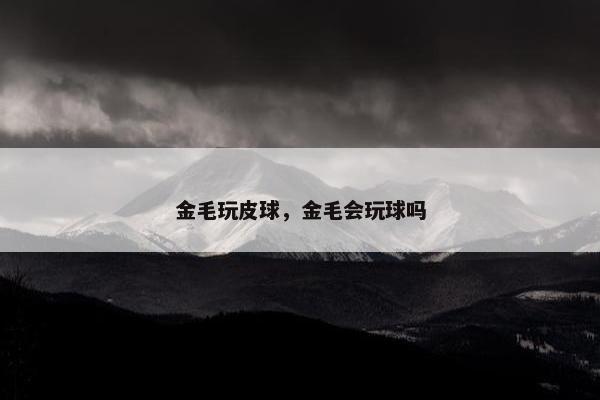 金毛玩皮球，金毛会玩球吗