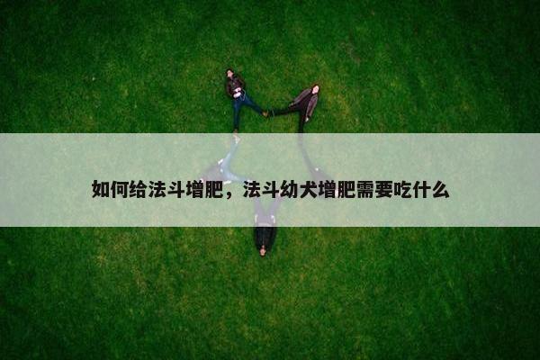 如何给法斗增肥，法斗幼犬增肥需要吃什么