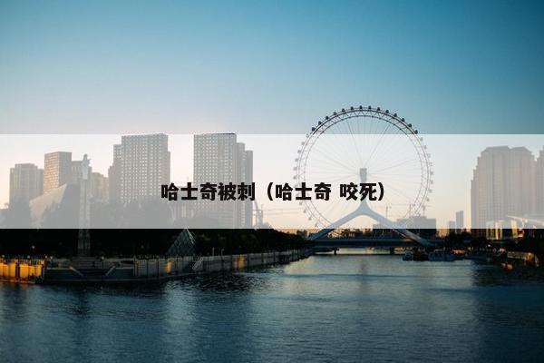 哈士奇被刺（哈士奇 咬死）