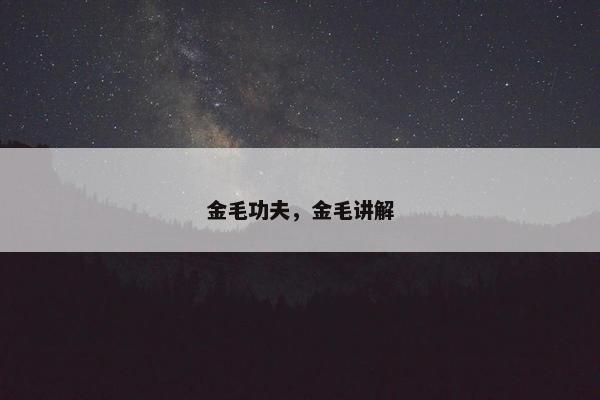 金毛功夫，金毛讲解
