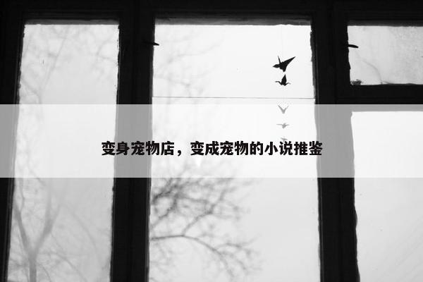 变身宠物店，变成宠物的小说推鉴