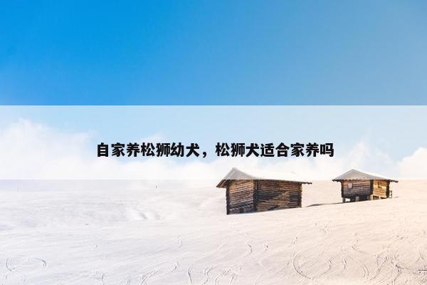 自家养松狮幼犬，松狮犬适合家养吗