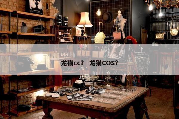 龙猫cc？ 龙猫COS？