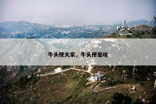 牛头梗大家，牛头梗是啥