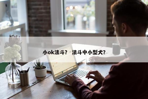 小ok法斗？ 法斗中小型犬？