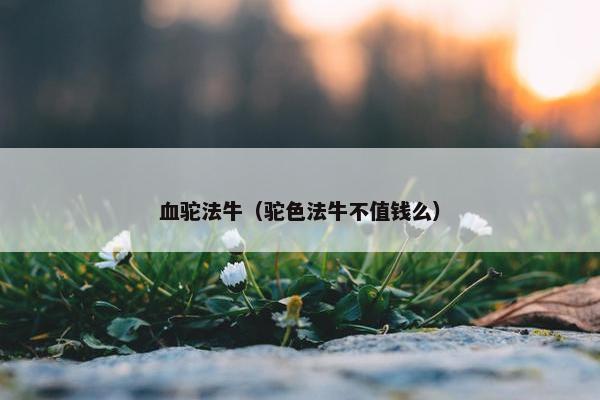 血驼法牛（驼色法牛不值钱么）