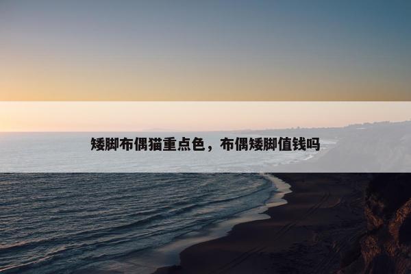 矮脚布偶猫重点色，布偶矮脚值钱吗