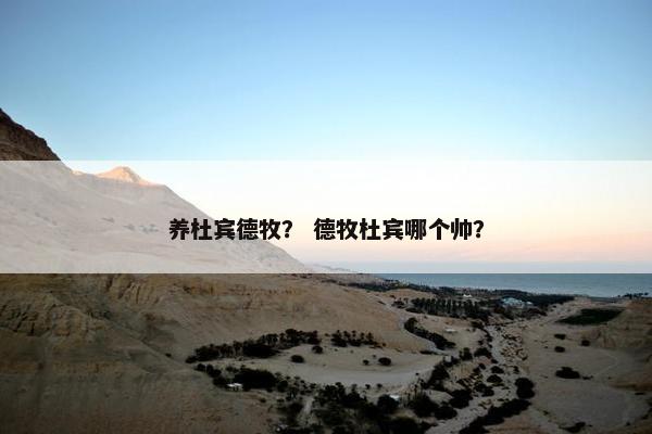 养杜宾德牧？ 德牧杜宾哪个帅？