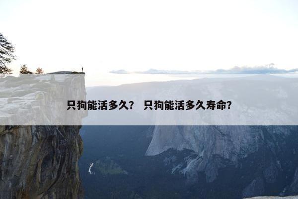 只狗能活多久？ 只狗能活多久寿命？