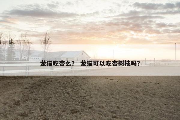龙猫吃杏么？ 龙猫可以吃杏树枝吗？