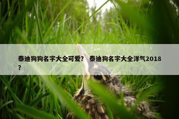泰迪狗狗名字大全可爱？ 泰迪狗名字大全洋气2018？