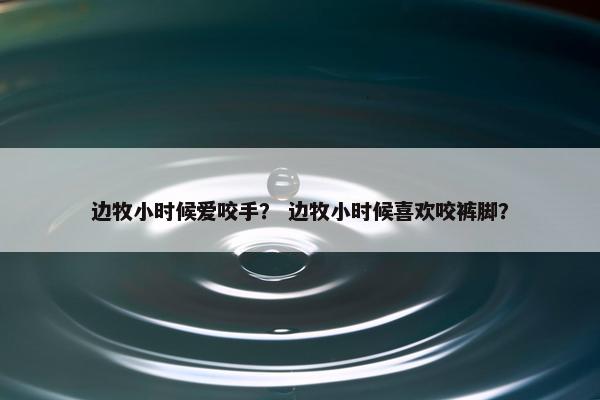 边牧小时候爱咬手？ 边牧小时候喜欢咬裤脚？