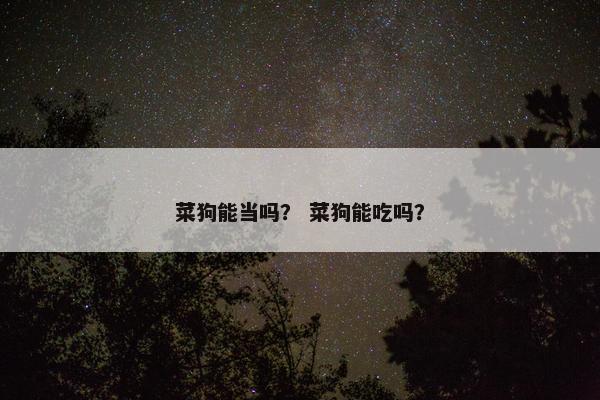 菜狗能当吗？ 菜狗能吃吗？