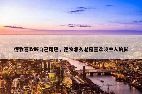 德牧喜欢咬自己尾巴，德牧怎么老是喜欢咬主人的脚