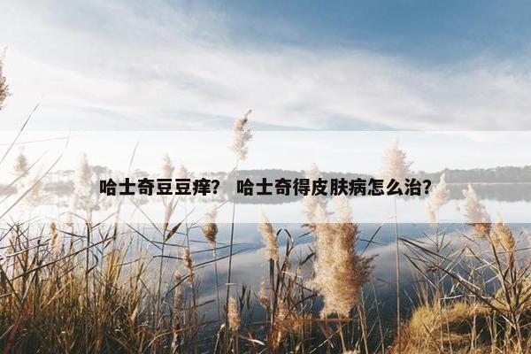哈士奇豆豆痒？ 哈士奇得皮肤病怎么治？