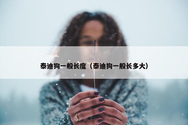 泰迪狗一般长度（泰迪狗一般长多大）