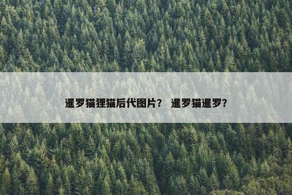 暹罗猫狸猫后代图片？ 暹罗猫暹罗？