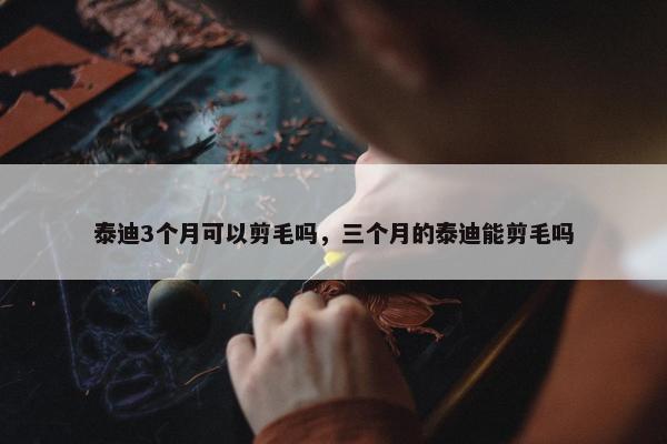 泰迪3个月可以剪毛吗，三个月的泰迪能剪毛吗