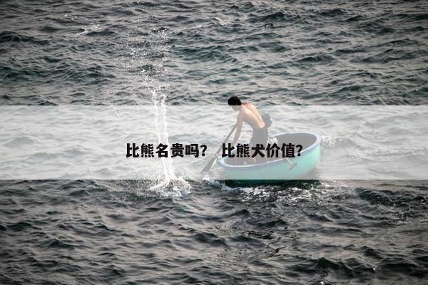 比熊名贵吗？ 比熊犬价值？