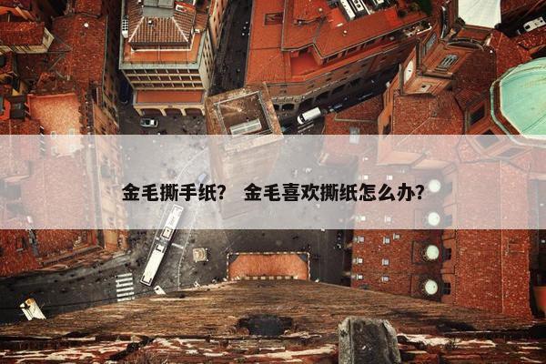 金毛撕手纸？ 金毛喜欢撕纸怎么办？