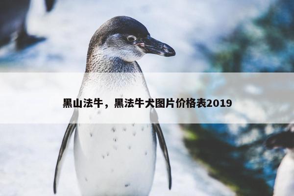 黑山法牛，黑法牛犬图片价格表2019