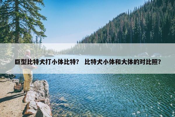 巨型比特犬打小体比特？ 比特犬小体和大体的对比照？