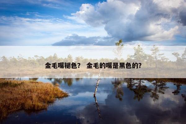 金毛嘴褪色？ 金毛的嘴是黑色的？