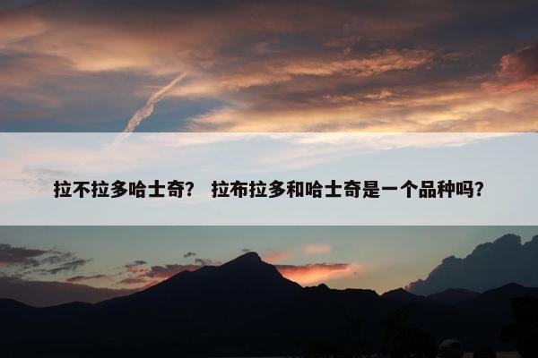 拉不拉多哈士奇？ 拉布拉多和哈士奇是一个品种吗？