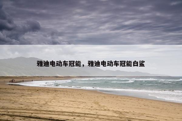 雅迪电动车冠能，雅迪电动车冠能白鲨