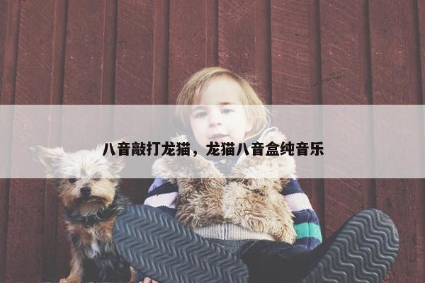 八音敲打龙猫，龙猫八音盒纯音乐