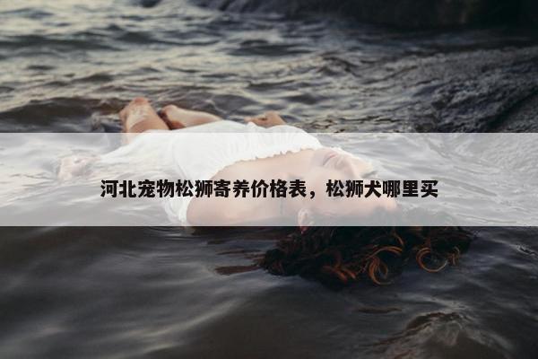 河北宠物松狮寄养价格表，松狮犬哪里买