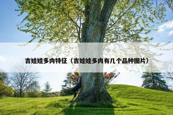 吉娃娃多肉特征（吉娃娃多肉有几个品种图片）