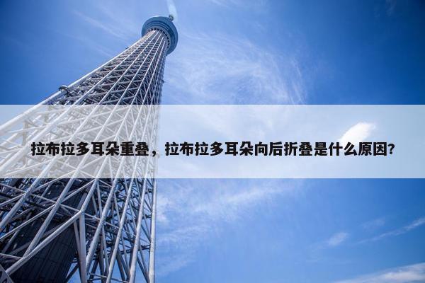 拉布拉多耳朵重叠，拉布拉多耳朵向后折叠是什么原因?