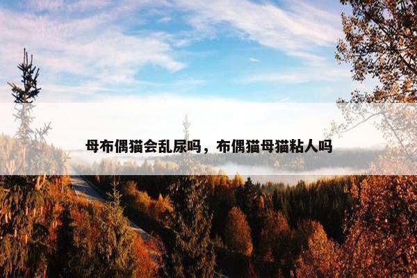 母布偶猫会乱尿吗，布偶猫母猫粘人吗