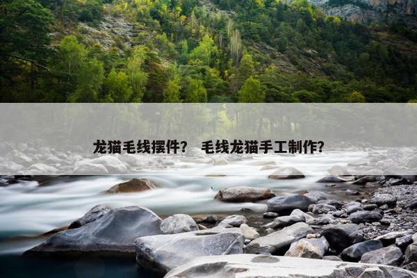 龙猫毛线摆件？ 毛线龙猫手工制作？