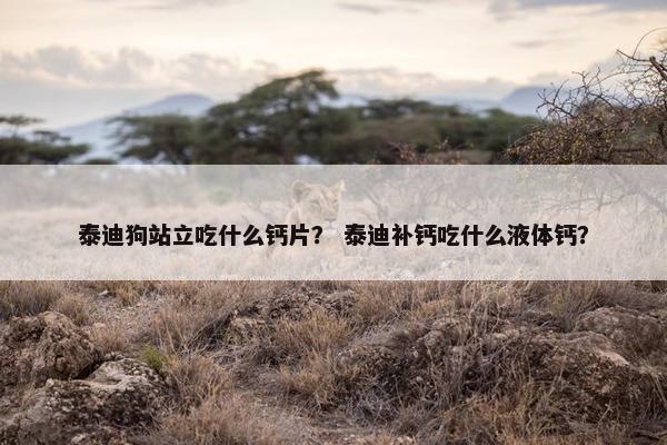 泰迪狗站立吃什么钙片？ 泰迪补钙吃什么液体钙？