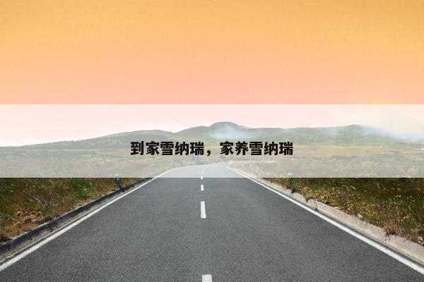 到家雪纳瑞，家养雪纳瑞