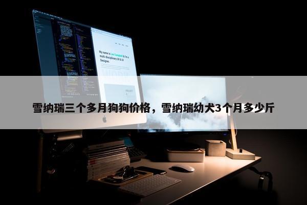 雪纳瑞三个多月狗狗价格，雪纳瑞幼犬3个月多少斤