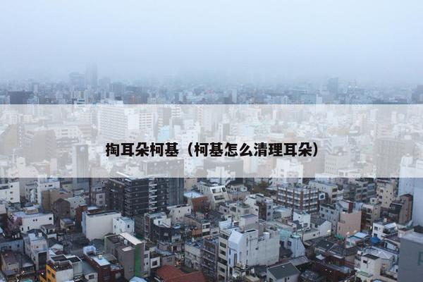 掏耳朵柯基（柯基怎么清理耳朵）