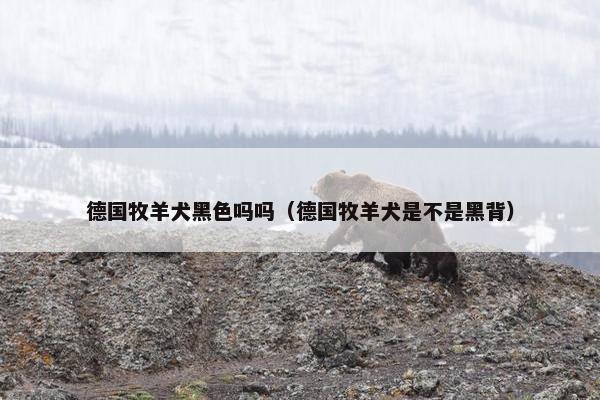 德国牧羊犬黑色吗吗（德国牧羊犬是不是黑背）