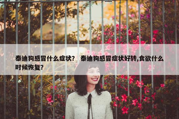 泰迪狗感冒什么症状？ 泰迪狗感冒症状好转,食欲什么时候恢复？