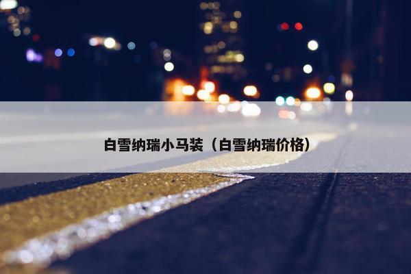 白雪纳瑞小马装（白雪纳瑞价格）
