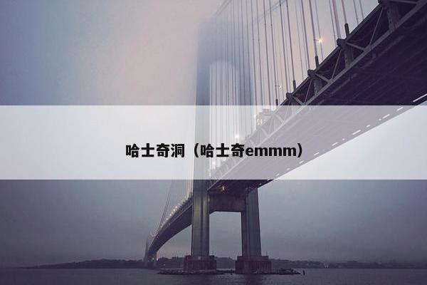 哈士奇洞（哈士奇emmm）