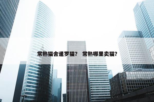 常熟猫舍暹罗猫？ 常熟哪里卖猫？