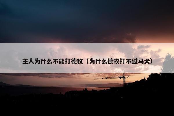 主人为什么不能打德牧（为什么德牧打不过马犬）